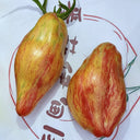 613 Tulip Tomato, 5 Seeds