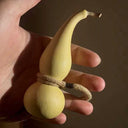 Twisted-Handle Ornamental Gourd, 10 Seeds