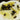 Large-seeded Watermelon Seeds,  20g
