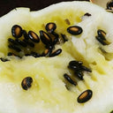 Large-seeded Watermelon Seeds,  20g