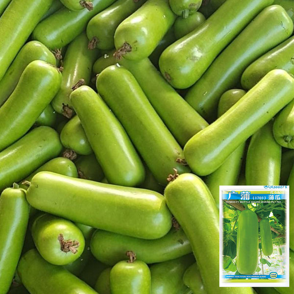 Guangpu 1701 Bottle Gourd Seeds, 100 Seeds