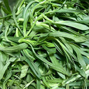 Noodle Vegetable Seeds, 10g