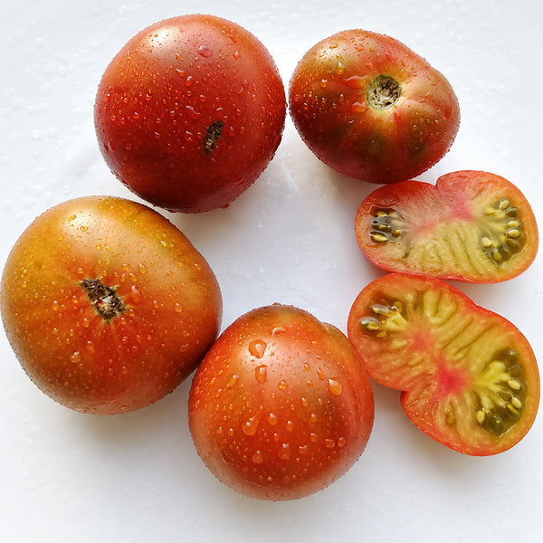 257 Viper Bicolor Unstriped Tomato, 5 Seeds