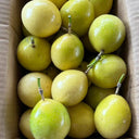 Mixed Purple & Yellow Passion Fruit, 200 Seeds