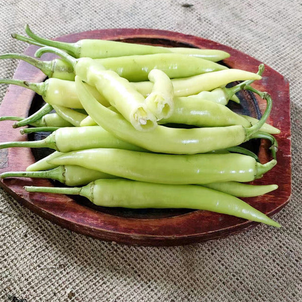 Guangxi White Jade Chili, 120 Seeds