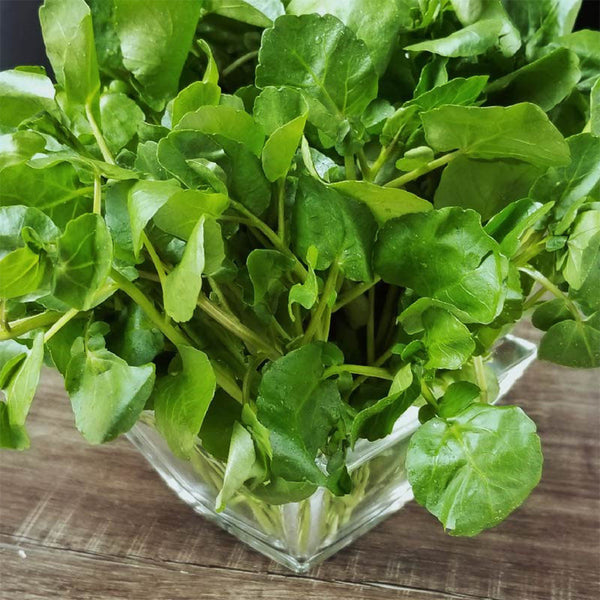 Watercress Seeds, 3g