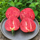 416 Cœur Rose Strié de Pessac Tomato, 5 Seeds