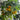 Dwarf Yellow Potted Cherry Tomato, 100 Seeds