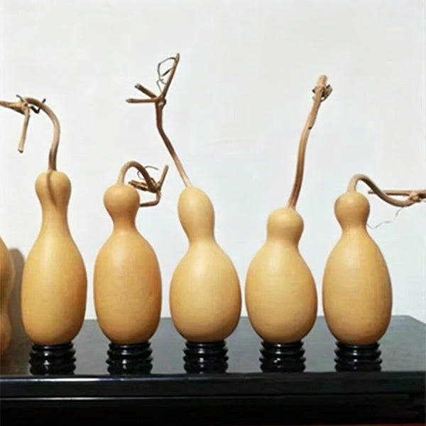 Flower Bottle Gourd, 10 Seeds