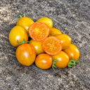545 Tigret Yellow Tomato, 5 Seeds