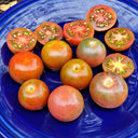 582 Blue Bunny Tomato, 5 Seeds