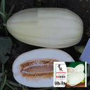 White Sweet Queen Melon Seeds, 50 Seeds