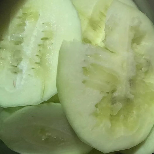 Ya Zong Winter Melon, 5 Seeds