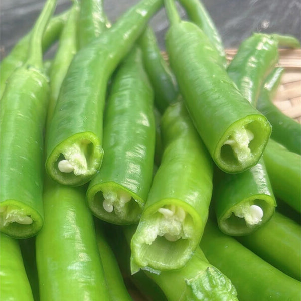 Hongtianxia String Pepper Seeds, 1g