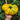 422 Tsarevich Tomato, 5 Seeds