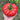 U2614 Giant Pink Beefsteak Tomato, 10 Seeds