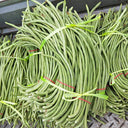 'Zhuzai' Thick-fleshed Sweet Long Bean Seeds, 20g