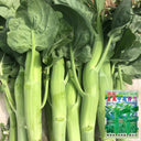 'Jiemei Jinmei Zhonghua' Chinese Kale Seeds, 20g