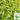 Zhangshugang Chili Pepper Seeds, 30 Seeds
