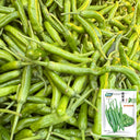 Zhangshugang Chili Pepper Seeds, 30 Seeds