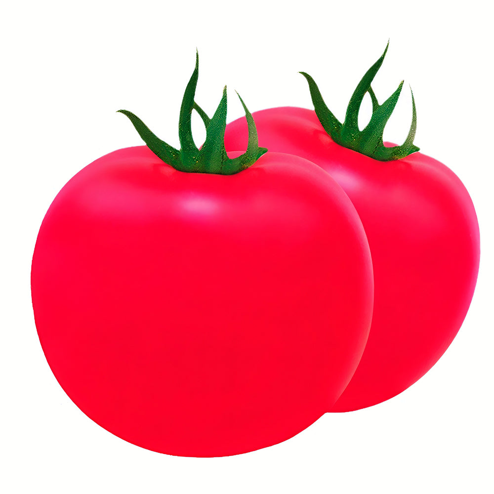 'Fluffy Pink 802' Tomato