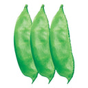 Refreshing Green Hyacinth Bean Seeds