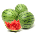 'Apis Forea' Series Bonsai Watermelon Seeds