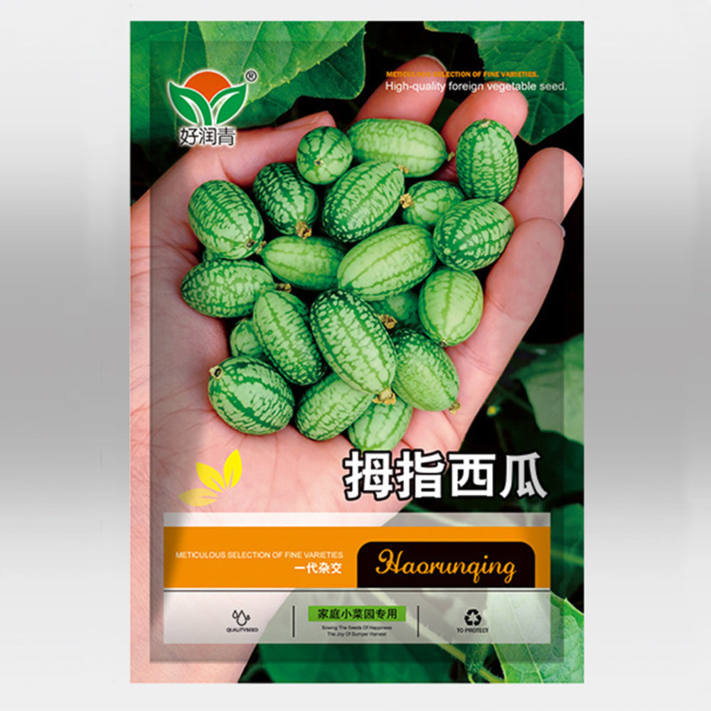 Cucamelons Seeds, Mexican Sour Gherkins