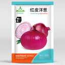 Red Onion Seeds