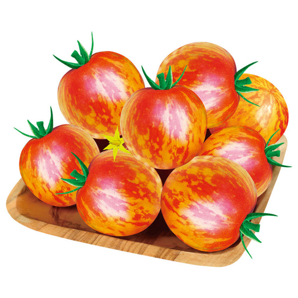 Red Zebra Tomato