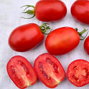 Top-Performing Salad Tomato