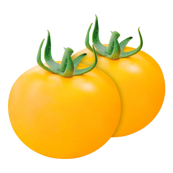 'Imperial Concubine' Yellow Tomato