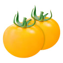 'Imperial Concubine' Yellow Tomato