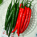 Red Hot Chili Pepper Seeds