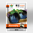 'Black Beauty' Eggplant Seeds