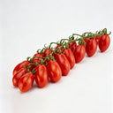 968 Red Date Tomato, 5 Seeds