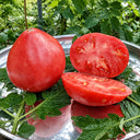 118 Sweet Cupcake Tomato, 5 Seeds