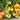 778 Honey Rose Tomato, 5 Seeds