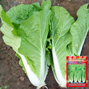 'Jiemei' Fast-growing Bok Choy Seeds, 10g