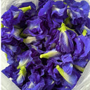 Butterfly pea Seeds, 50 Seeds