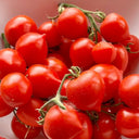 'Evita' Mini Potted Tomato Seeds