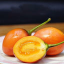 Tree tomato Seeds, 20 Seeds