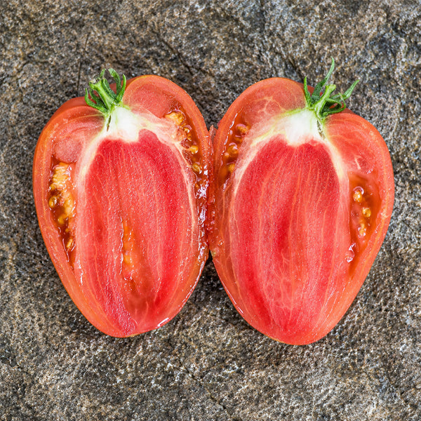 81 Mazarini Tomato, 5 Seeds