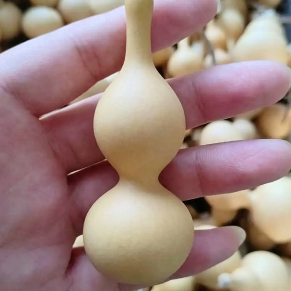 Tianjin Mouth Gourd, 10 Seeds