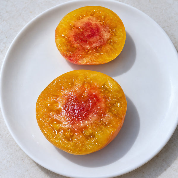 76 Northern Lights Tomato, 5 Seeds