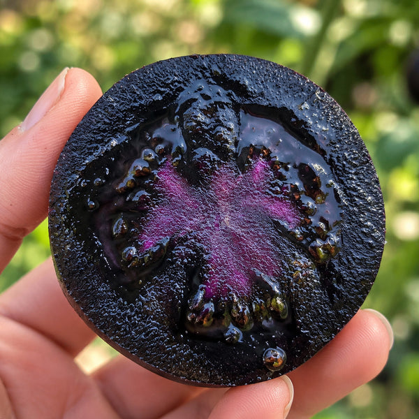 W1357 Blueberry Fruit Tomato, 100 Seeds