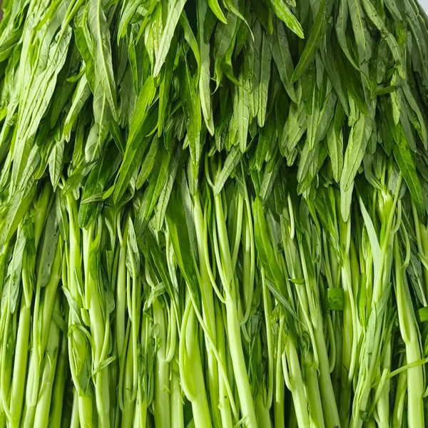 Meifeng No.1 Water Spinach Seeds, 20g