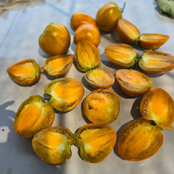 832 Volga Sweet Melon Tomato, 5 Seeds