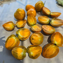 832 Volga Sweet Melon Tomato, 5 Seeds