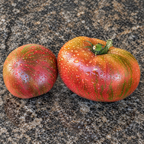 477 Dwarf Crimson Sockeye Tomato, 5 Seeds